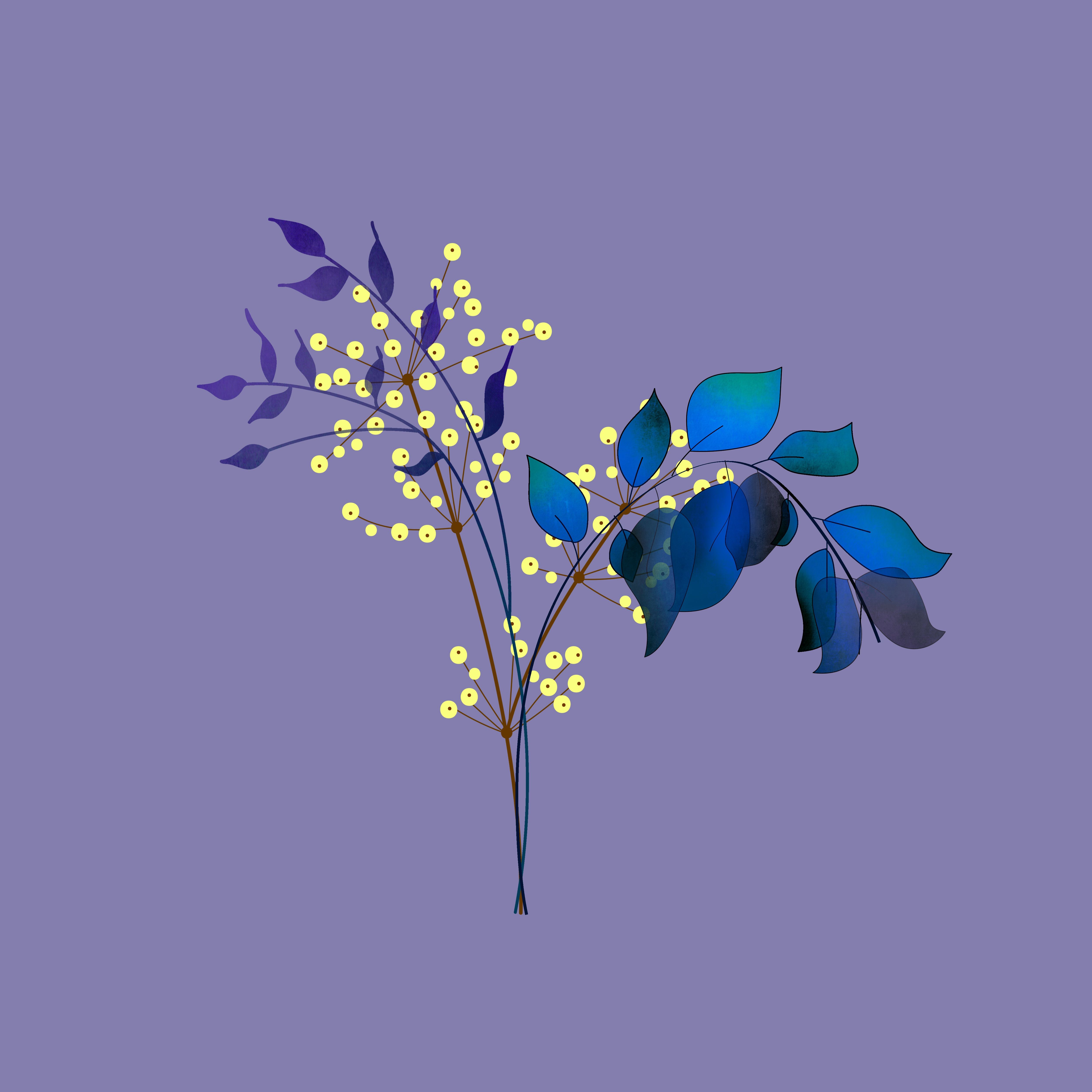 暮紫尤加利 Lavender Euca Glow